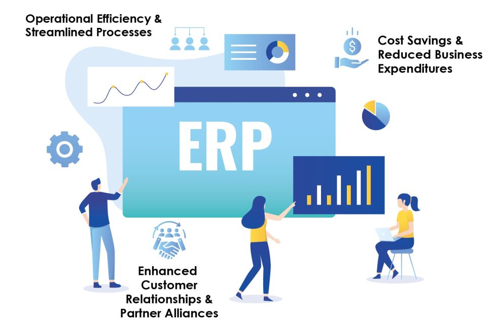 Walmart's Custom SAP ERP Solution for Operational Excellence: A Case Study