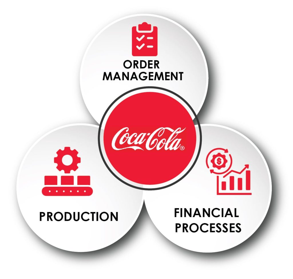 Challenges Faced in Order Management, Production, and Financial Processes