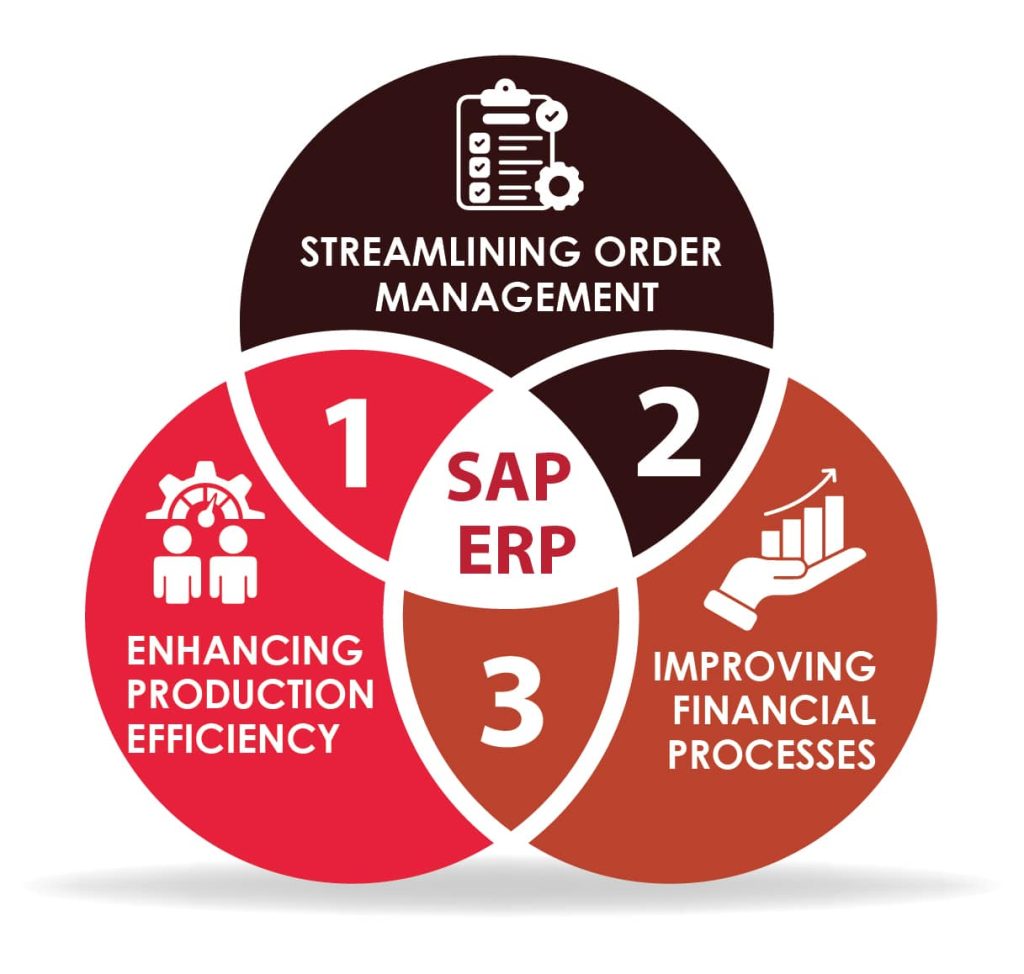 Objectives of Implementation SAP ERP
